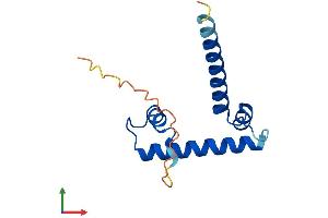 Protein Structure (PS) image for TAF13 RNA Polymerase II, TATA Box Binding Protein (TBP)-Associated Factor, 18kDa (TAF13) (AA 1-124) protein (His tag) (ABIN7556576)