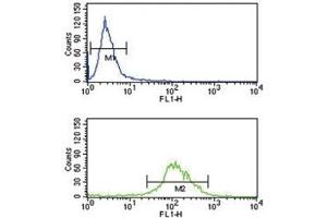 TAT antibody flow cytometry analysis of K562 cells (green) compared to a&nbsp (Tat (AA 279-306) Antikörper)