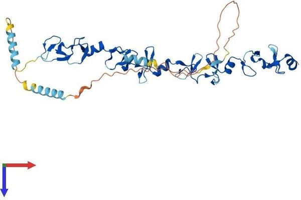 Leupaxin Protein (LPXN) (AA 1-386) (His tag)