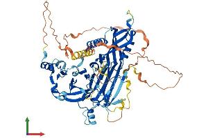 AlphaFold protein structure predicition of Human Recombinant DCAF15 Protein, UniprotID Q66K64