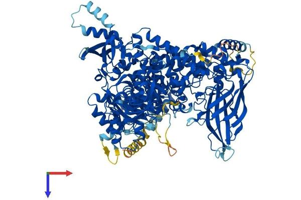 PIK3CA Protein (AA 1-1068) (His tag)