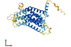Protein Structure (PS) image for G Protein-Coupled Receptor 146 (GPR146) (AA 1-333) protein (His tag) (ABIN7560363)