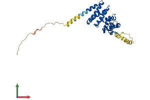 AlphaFold protein structure predicition of Mouse Recombinant Mro Protein, UniprotID Q7TNB4 (MRO Protein (AA 1-248) (His tag))