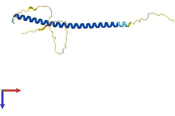 CEBPG Protein (AA 1-150) (His tag)