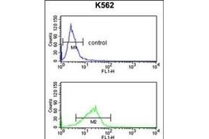 Flow Cytometry (FACS) image for anti-Polymerase (DNA Directed), epsilon 3 (p17 Subunit) (POLE3) (AA 5-34), (N-Term) antibody (ABIN391484)
