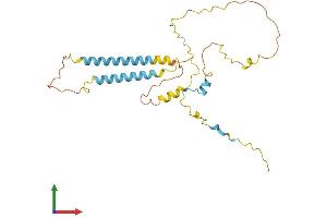 AlphaFold protein structure predicition of Human Recombinant TMEM51 Protein, UniprotID Q9NW97