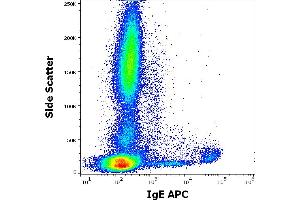 Flow cytometry surface staining pattern of human peripheral whole blood stained using anti-human IgE (4H10) APC antibody (concentration in sample 9 μg/mL). (IgE Antikörper  (APC))