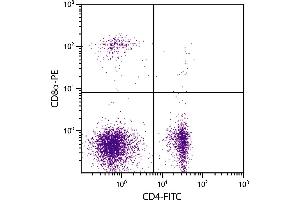 Chicken peripheral blood lymphocytes were stained with Mouse Anti-Chicken CD8α-PE. (CD8 alpha Antikörper)