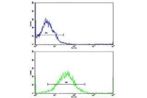Flow Cytometry (FACS) image for anti-Tyrosine Hydroxylase (TH) (AA 486-514) antibody (ABIN3029766)