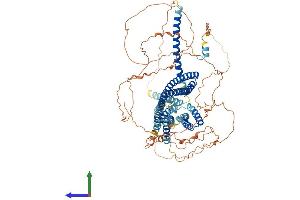 Protein Structure (PS) image for Disrupted in Schizophrenia 1 (DISC1) (AA 1-854) protein (His tag) (ABIN7553667)