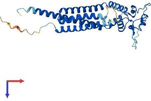 TSPAN33 Protein (AA 1-283) (His tag)
