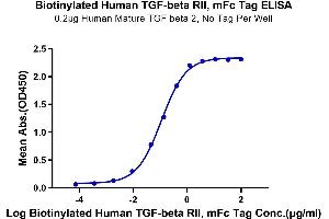 Immobilized Human Mature TGF beta 2, No Tag at 2 μg/mL (100 μL/Well) on the plate. (TGFBR2 Protein (AA 24-159) (mFc-Avi Tag,Biotin))