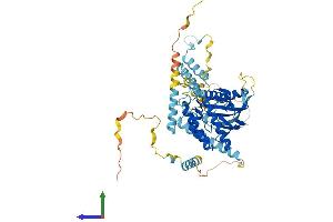 AlphaFold protein structure predicition of Mouse Recombinant Riok3 Protein, UniprotID Q9DBU3