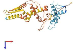 KLF7 Protein (AA 1-301) (His tag)