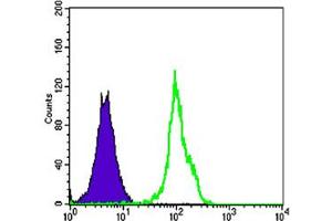 Flow cytometric analysis of HL-60 cells using BLK monoclonal antibody, clone 1E6  (green) and negative control (purple).