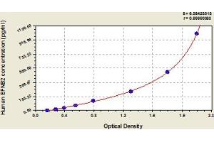 Ephrin B2 ELISA Kit