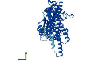 Protein Structure (PS) image for Formiminotransferase Cyclodeaminase (FTCD) (AA 1-541) protein (His tag) (ABIN7547754)