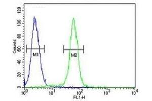 c-Fos antibody flow cytometric analysis of 293 cells (right histogram) compared to a negative control cell (left histogram). (c-FOS Antikörper  (AA 263-291))