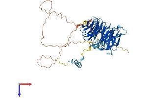 PLRG1 Protein (AA 1-514) (His tag)