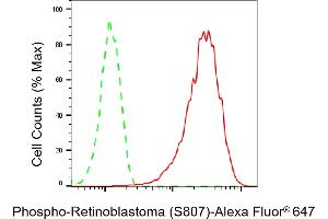 Flow cytometric analysis of Phospho-Retinoblastoma (S807) expression in HAP-1 cells using Phospho-Retinoblastoma (S807) antibody (ABIN7800188), 1:2,000). (Rekombinanter Retinoblastoma Protein (Rb) Antikörper  (pSer807))