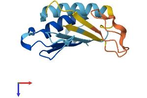 AlphaFold protein structure predicition of Human Recombinant DDTL Protein, UniprotID A6NHG4