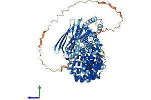Protein Structure (PS) image for AP1 Complex Subunit gamma-Like 2 (AP1G2) (AA 1-791) protein (His tag) (ABIN7562617)