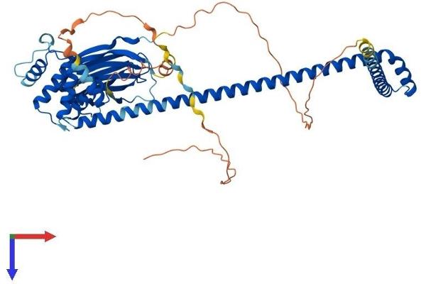 ACBD3 Protein (AA 1-528) (His tag)
