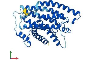 Protein Structure (PS) image for Mitochondrially Encoded NADH Dehydrogenase 1 (MT-ND1) (AA 1-318) protein (His tag) (ABIN7549942)