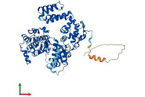 Protein Structure (PS) image for G Protein-Coupled Receptor Kinase 5 (GRK5) (AA 1-590) protein (His tag) (ABIN7564753)