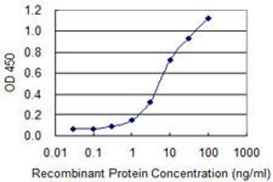 Detection limit for recombinant GST tagged EBF1 is 0. (EBF1 Antikörper  (AA 1-591))
