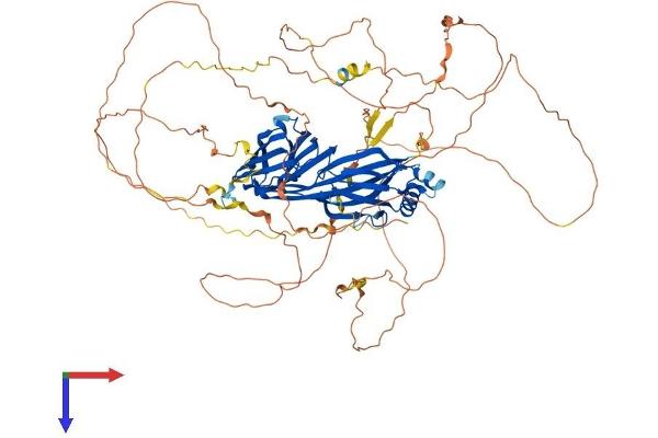 SGIP1 Protein (AA 1-828) (His tag)