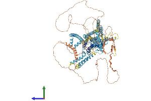 AlphaFold protein structure predicition of Human Recombinant TMC3 Protein, UniprotID Q7Z5M5 (Tmc3 Protein (AA 1-1100) (His tag))