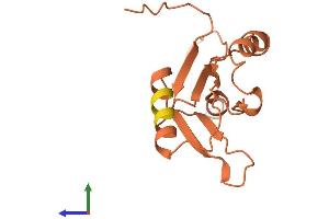 AlphaFold protein structure predicition of Human Recombinant FER1L6-AS2 Protein, UniprotID Q96M78