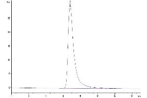 Size-exclusion chromatography-High Pressure Liquid Chromatography (SEC-HPLC) image for Transforming Growth Factor, beta Receptor II (70/80kDa) (TGFBR2) (AA 24-159) protein (mFc-Avi Tag,Biotin) (ABIN7275718)