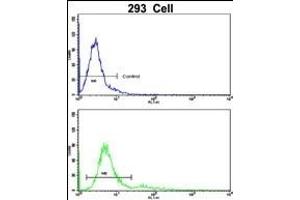 Flow cytometric analysis of 293 cells using BLC Antibody (N-term)(bottom histogram) compared to a negative control cell (top histogram). (BAALC Antikörper  (N-Term))