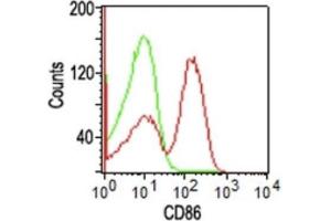 Flow Cytometric Analysis of human PBMCs using CD86 Mouse Monoclonal Antibody (BU63); Goat anti-Mouse IgG-CF488 (red); Isotype Control (green). (CD86 Antikörper)