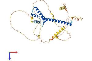 NEUROD1 Protein (AA 1-357) (His tag)