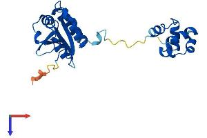 FAAP24 Protein (AA 1-215) (His tag)