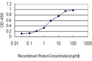Detection limit for recombinant GST tagged MAPK12 is approximately 0. (MAPK12 Antikörper  (AA 251-367))