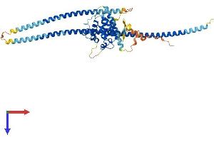 RUFY3 Protein (AA 1-469) (His tag)