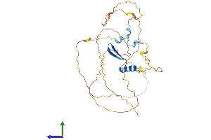 Protein Structure (PS) image for Vestigial Like 3 (VGLL3) (AA 1-326) protein (His tag) (ABIN7545068)