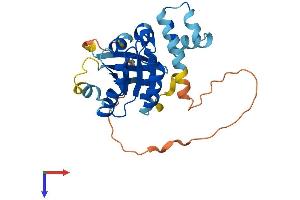 RAB40B Protein (AA 1-278) (His tag)