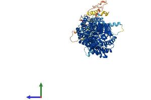 AlphaFold protein structure predicition of Human Recombinant TTC7A Protein, UniprotID Q9ULT0