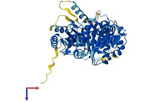 TUBE1 Protein (AA 1-475) (His tag)