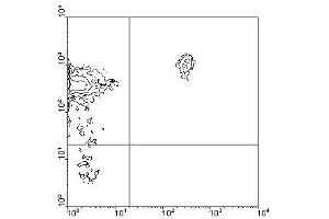 Image no. 1 for anti-CD45RB (CD45RB) antibody (PE) (ABIN135236) (CD45RB Antikörper  (PE))