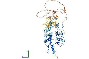 AlphaFold protein structure predicition of Human Recombinant ZNF766 Protein, UniprotID Q5HY98
