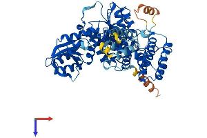 VPS45 Protein (AA 1-570) (His tag)