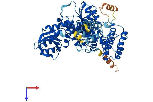 VPS45 Protein (AA 1-570) (His tag)