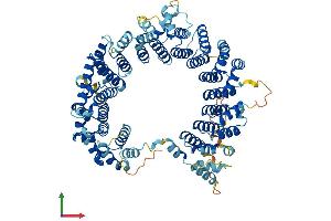 Protein Structure (PS) image for Chromosome 7 Open Reading Frame 27 (C7orf27) (AA 1-822) protein (His tag) (ABIN7564511)