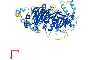 DET1 Protein (DET1) (AA 1-550) (His tag)